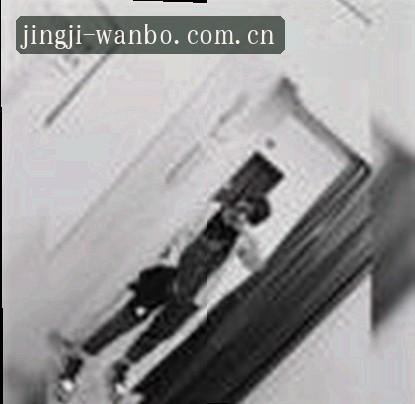 郑欣
